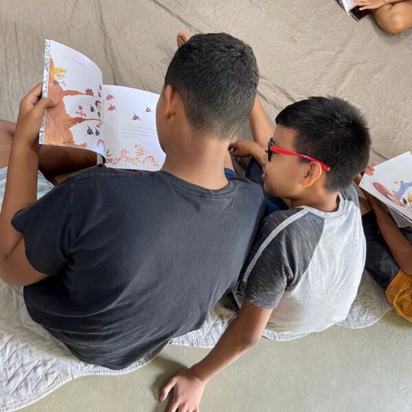 Como trabalhar o livro |